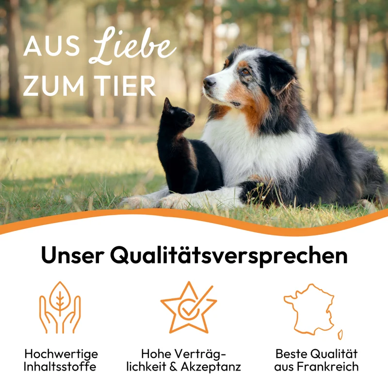 PHA DarmPaste für Hunde und Katzen 15 ml