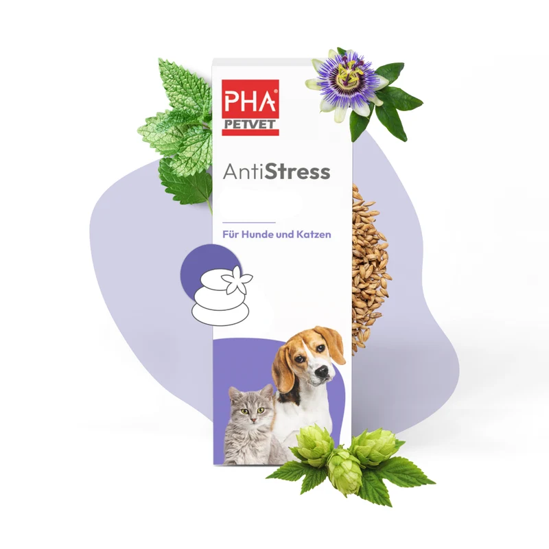 PHA AntiStress für Hunde u. Katzen 30 ml