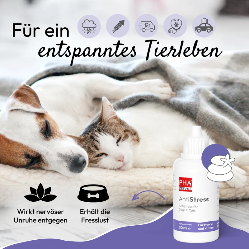 PHA AntiStress für Hunde u. Katzen 30 ml