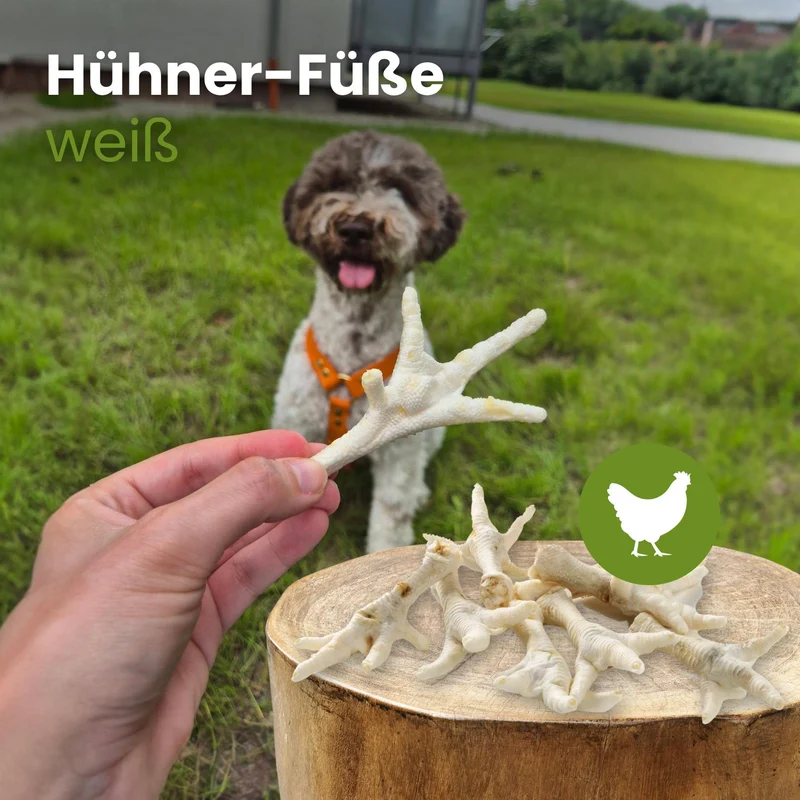 Hühner-Füße, weiß