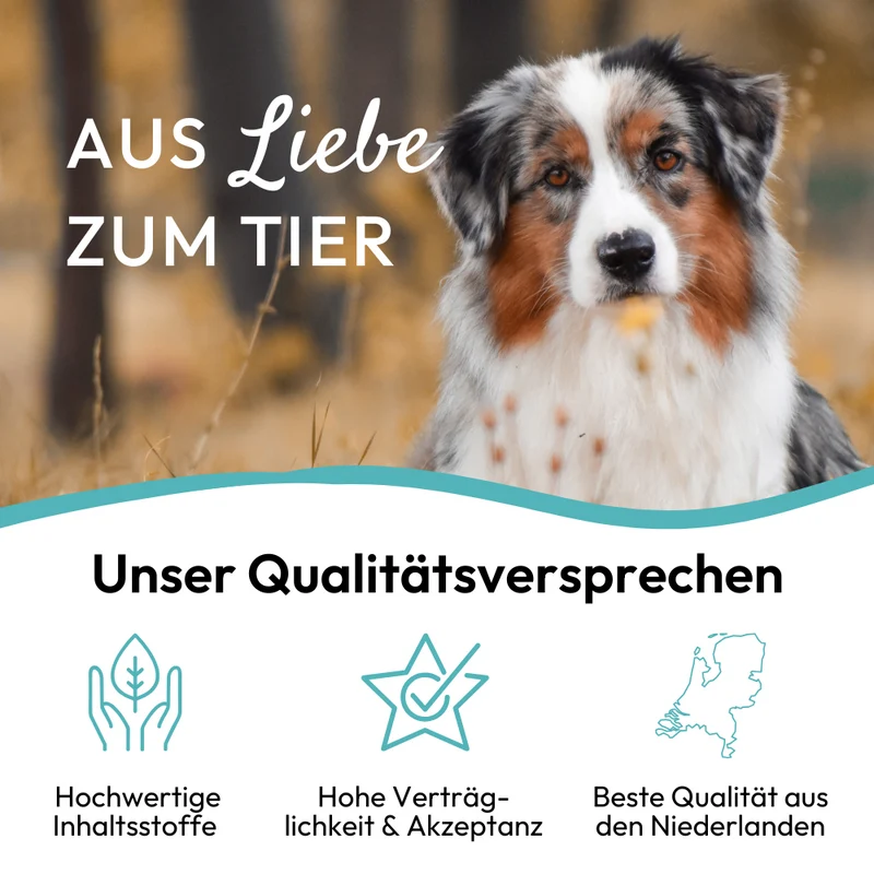 PHA NaturSnack für Hunde
