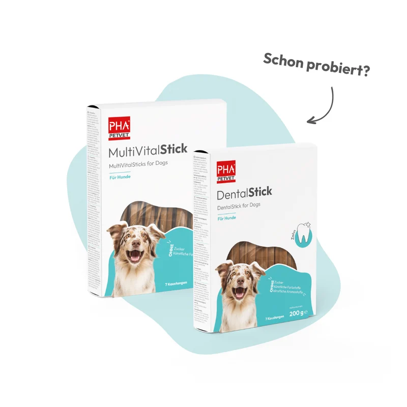 PHA GelenkStick für Hunde
