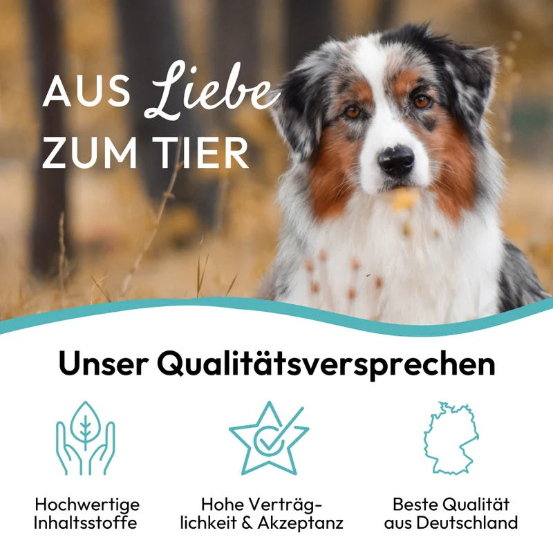 PHA DentalStick für Hunde, 7 Stk.