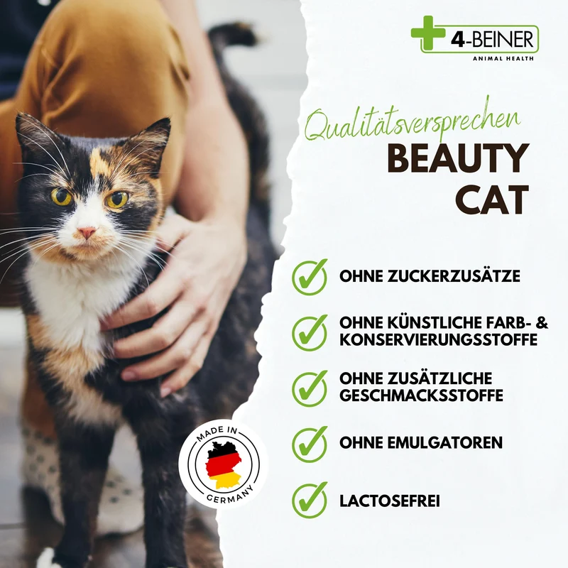 4-BEINER BEAUTY-CAT