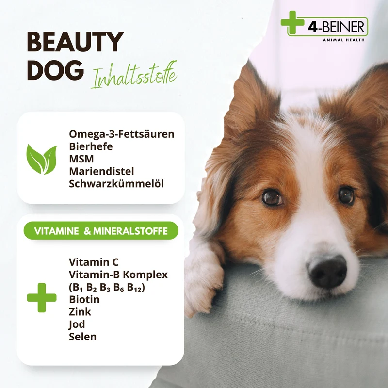 4-BEINER BEAUTY-DOG