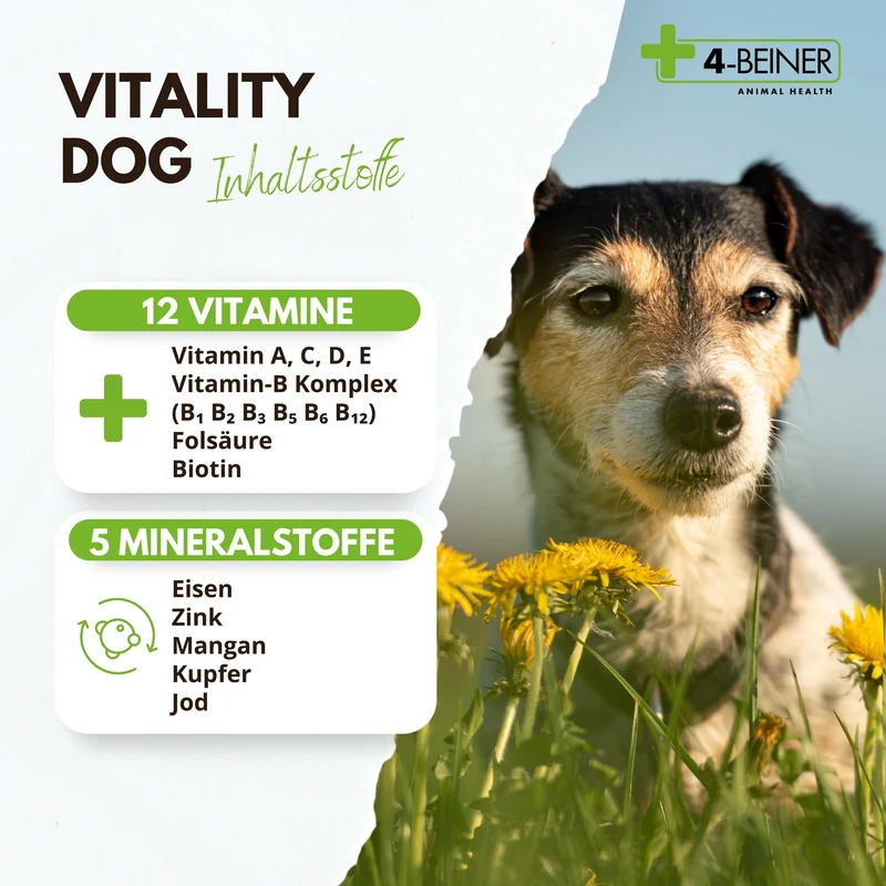 4-BEINER VITALITY-DOG