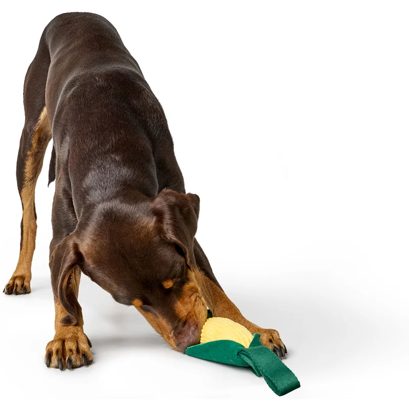 Hundespielzeug Venice