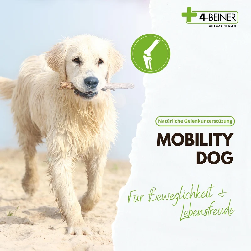 4-BEINER MOBILITY-DOG