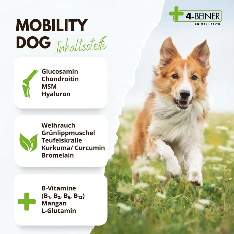 4-BEINER MOBILITY-DOG