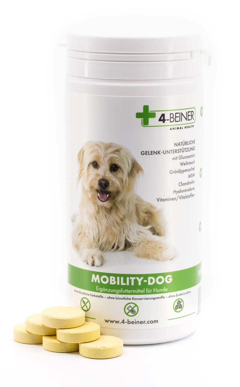 4-BEINER MOBILITY-DOG