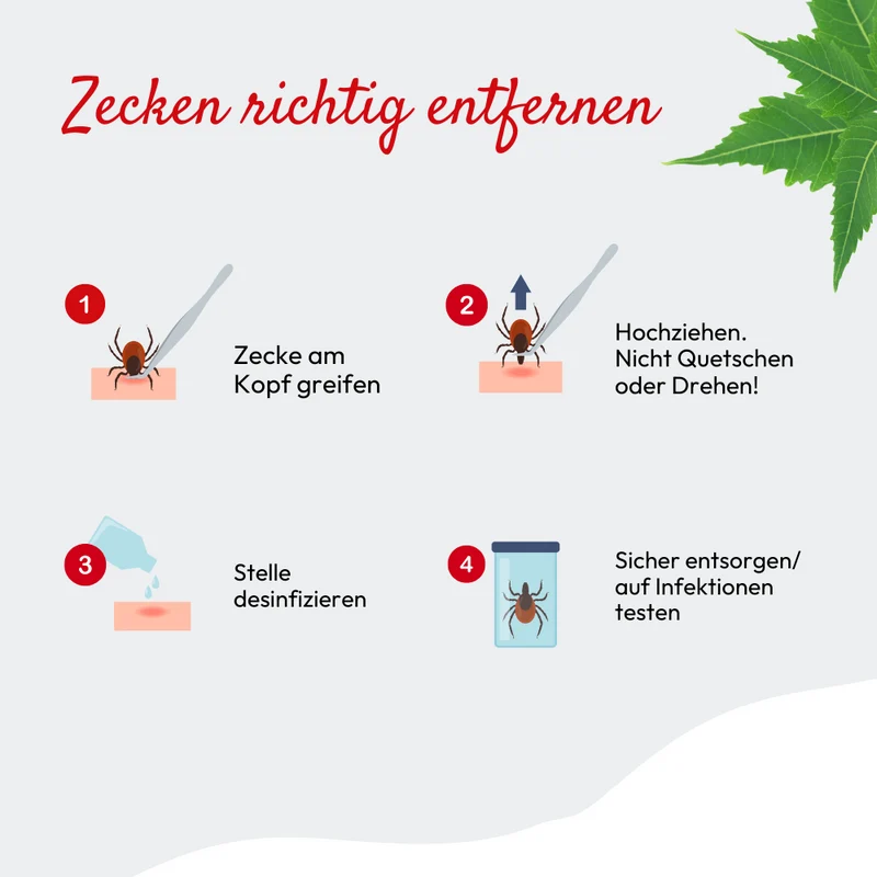 PHA ZeckenZange für Hunde u. Katzen