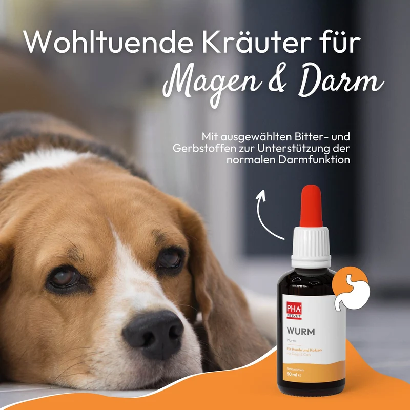PHA WURM für Hunde u. Katzen 50 ml