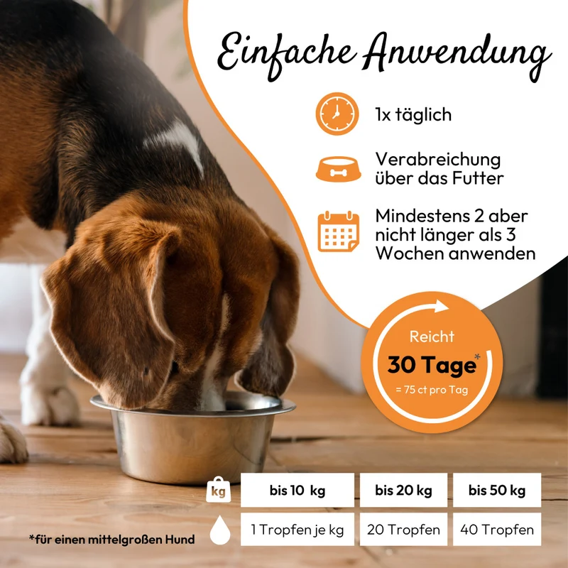 PHA WURM für Hunde u. Katzen 50 ml