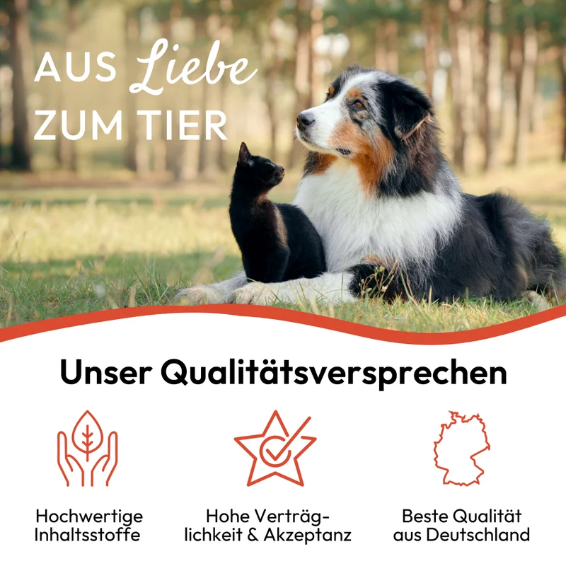 PHA UmgebungsSpray für Hunde u. Katzen 150 ml