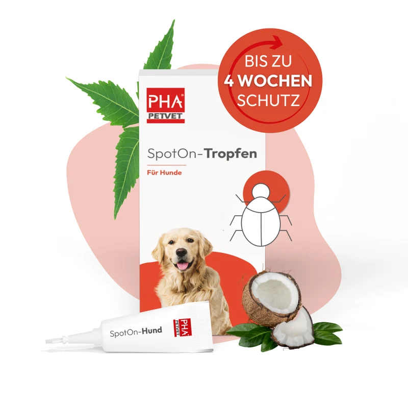 PHA Spot-onTropfen für Hunde 2 x 2 ml