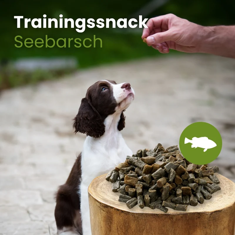 Seebarsch-Sticks-Trainingssnack