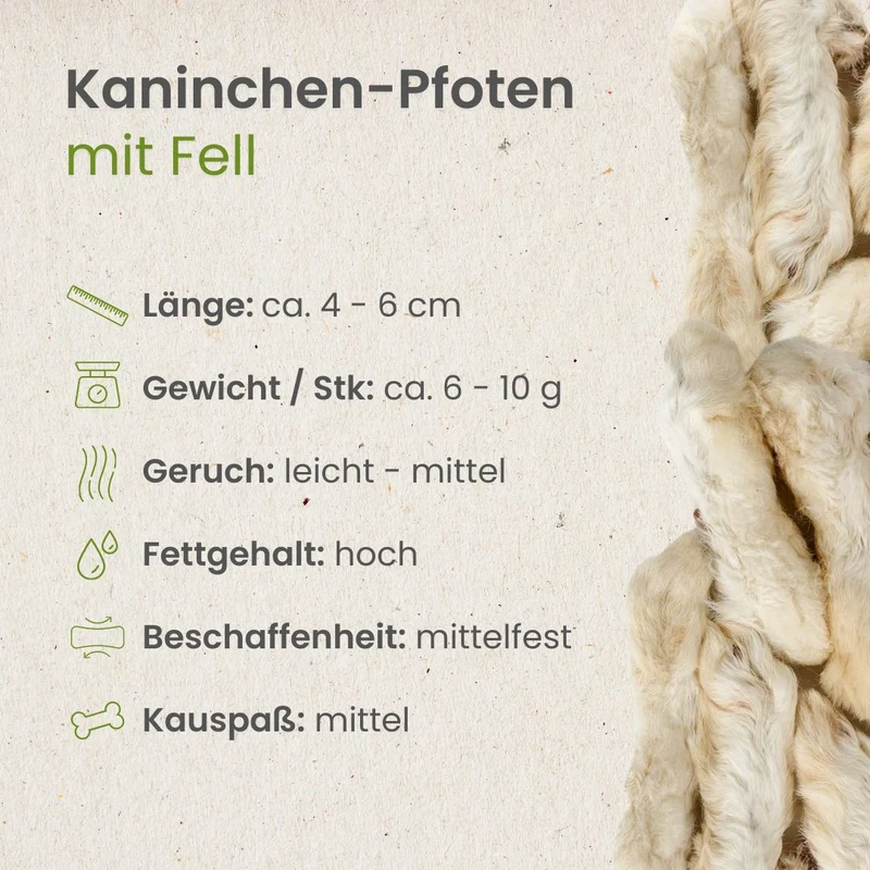 Kaninchen-Pfoten mit Fell