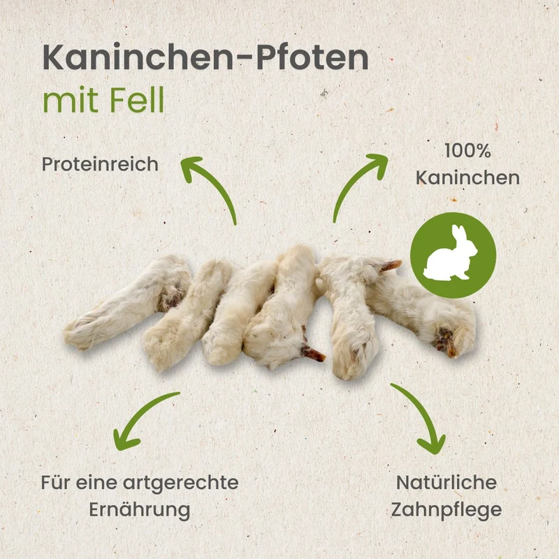 Kaninchen-Pfoten mit Fell