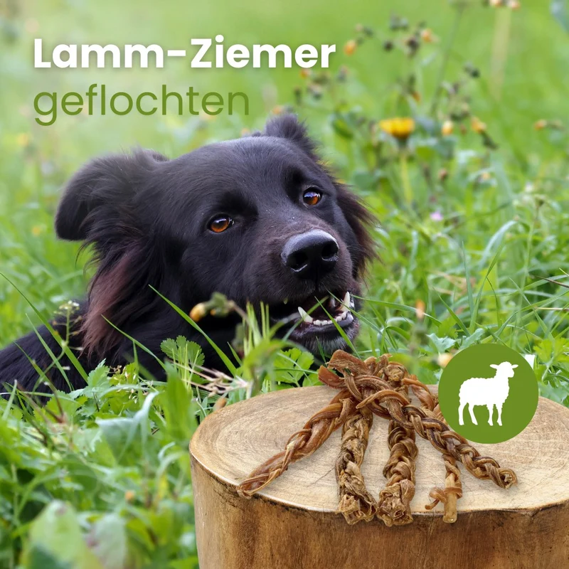 Lamm-Ziemer, geflochten