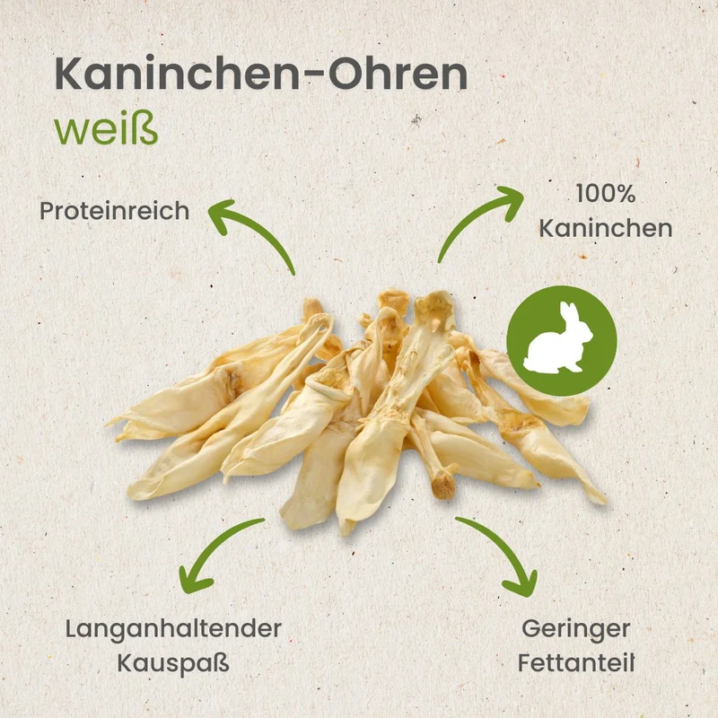 Kaninchen-Ohren, weiß