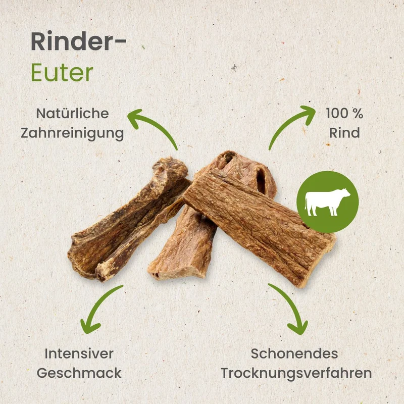 Rinder-Euter