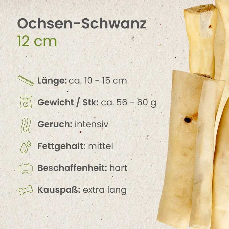 Ochsen-Schwanz, 12cm