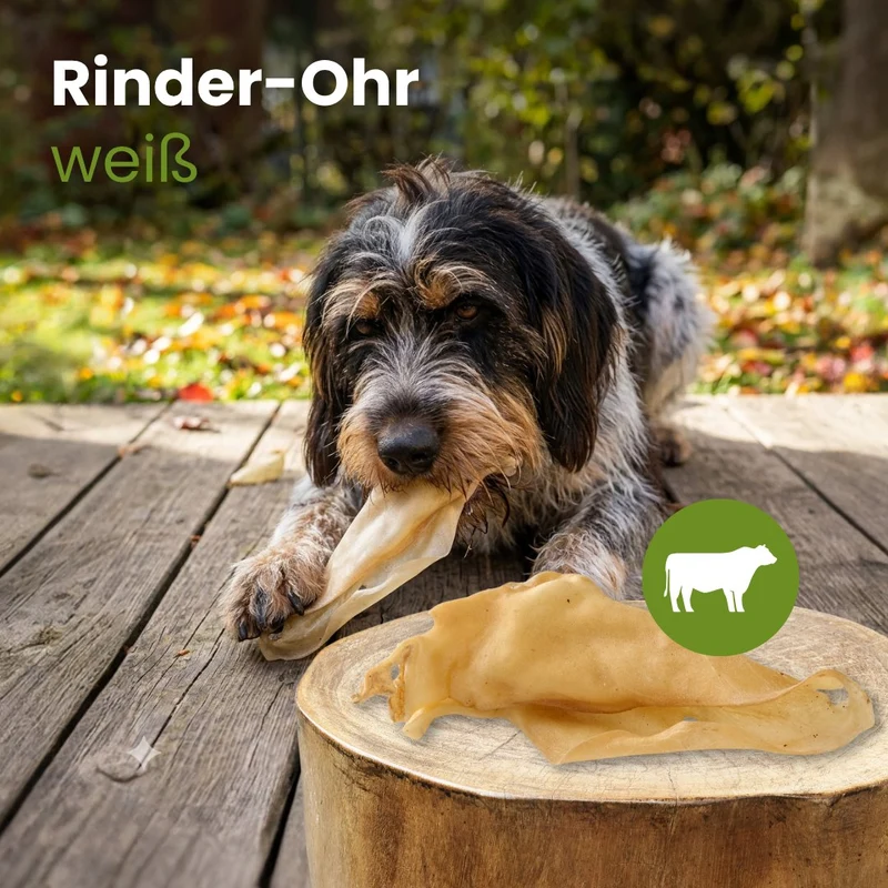 Rinder-Ohr, hell - (ehemals Rinder-Ohr, weiß)