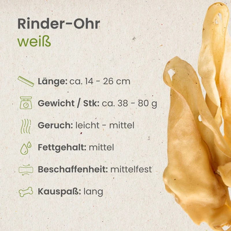 Rinder-Ohr, hell - (ehemals Rinder-Ohr, weiß)