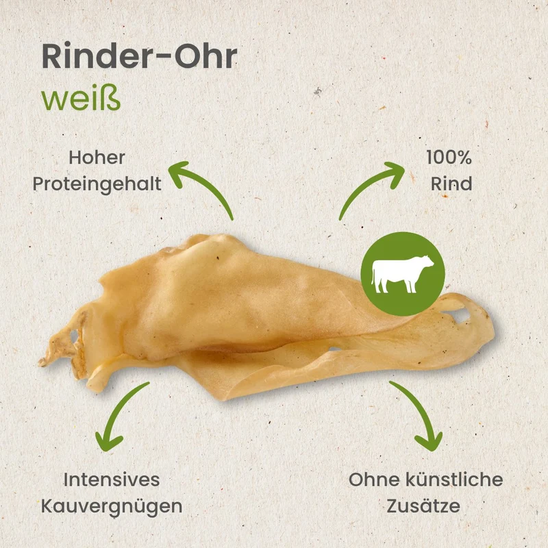 Rinder-Ohr, hell - (ehemals Rinder-Ohr, weiß)