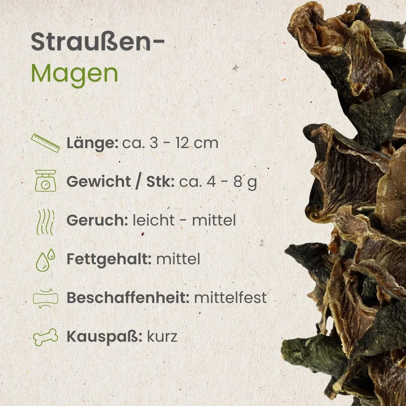 Straußen-Magen