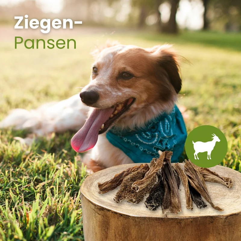 Ziegen-Pansen