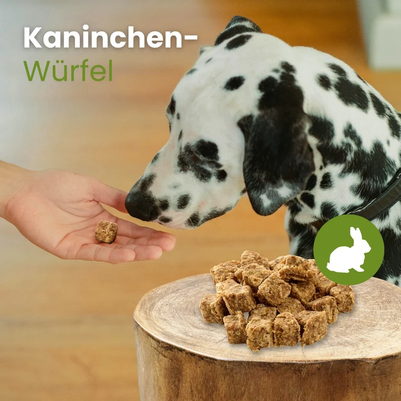 Kaninchen-Würfel
