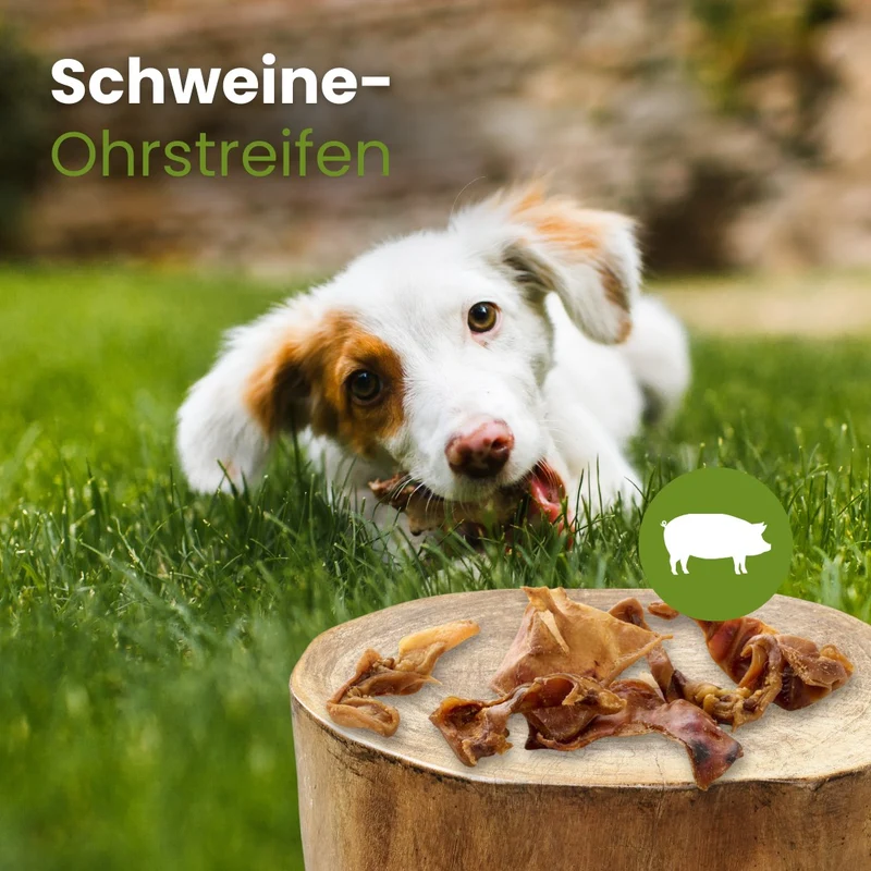 Schweine-Ohrstreifen