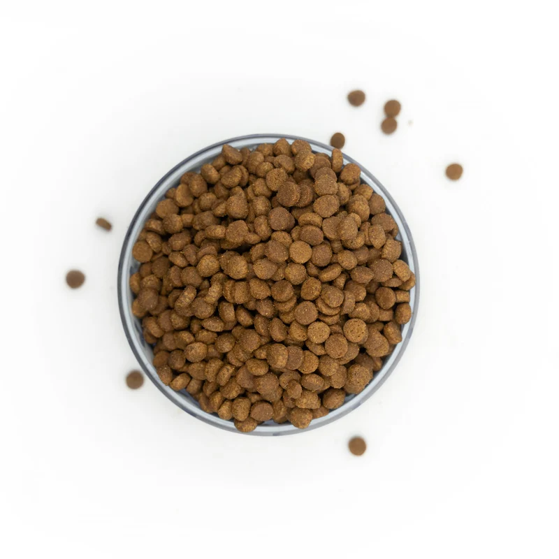 Huhn mit Thunfisch & Lachs - Katzen Trockenfutter