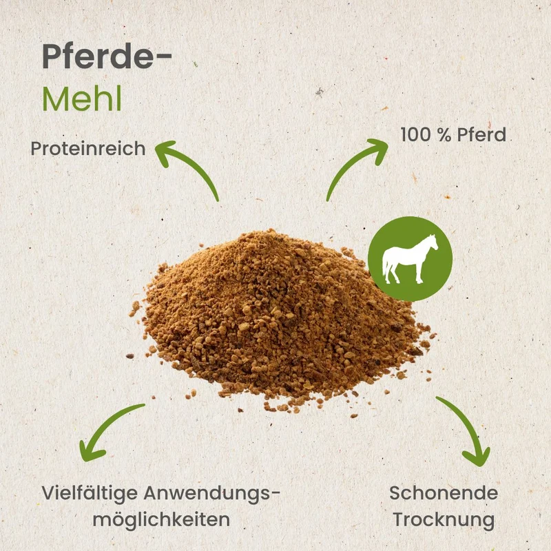 Pferde-Fleisch getrocknet und gemahlen