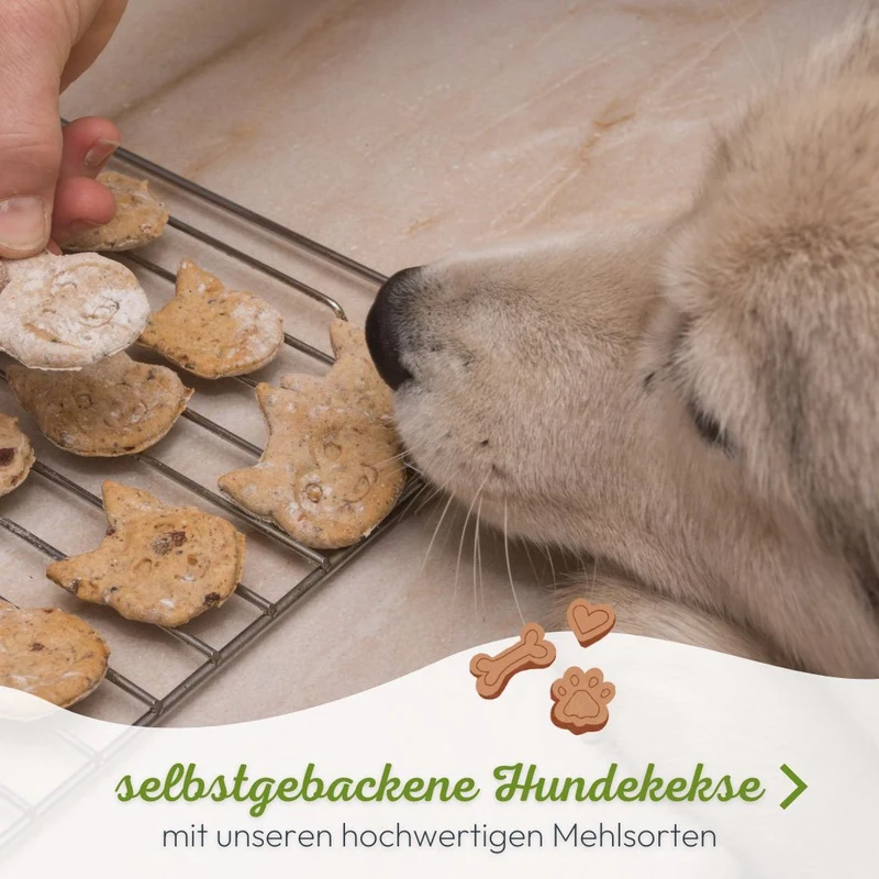 Pferde-Fleisch getrocknet und gemahlen