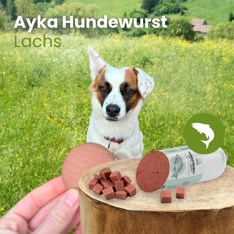 Ayka Hundewurst Lachs