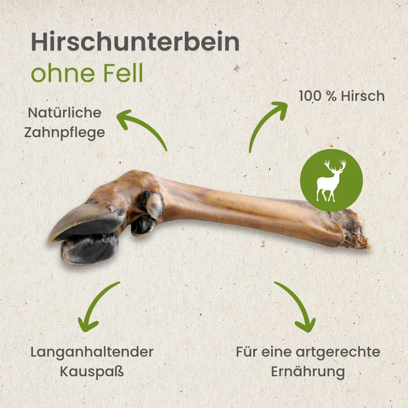 Hirsch Unterbein ohne Fell