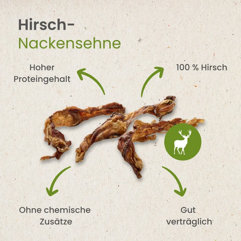 Hirsch-Nackensehne