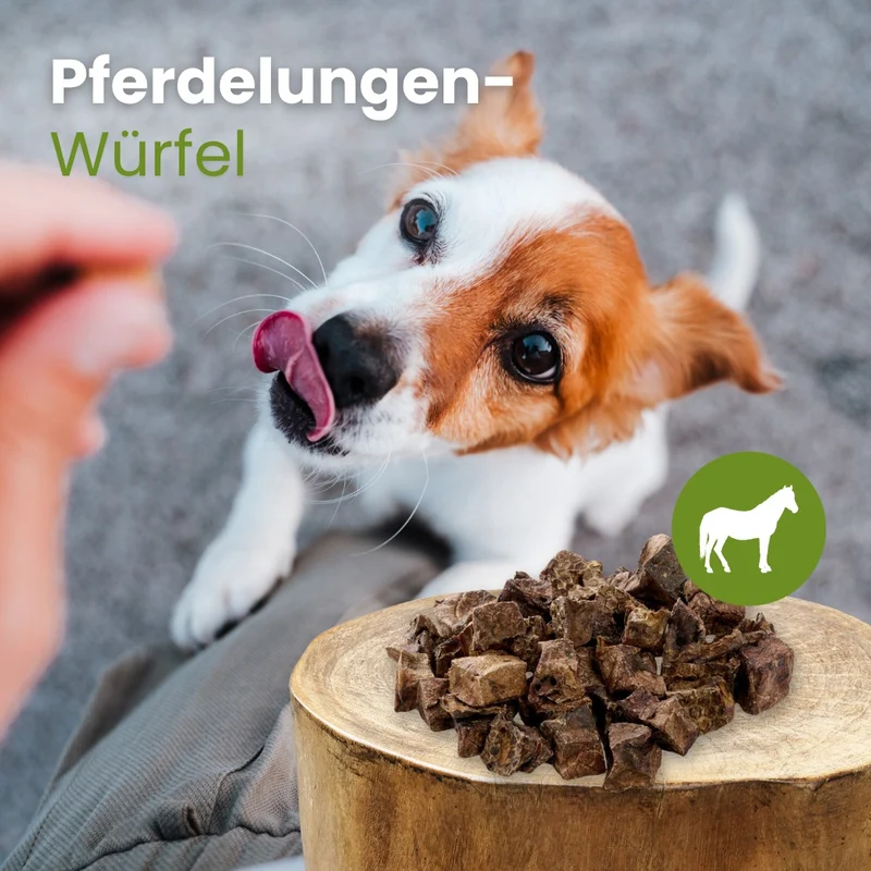 Pferde-Lungenwürfel