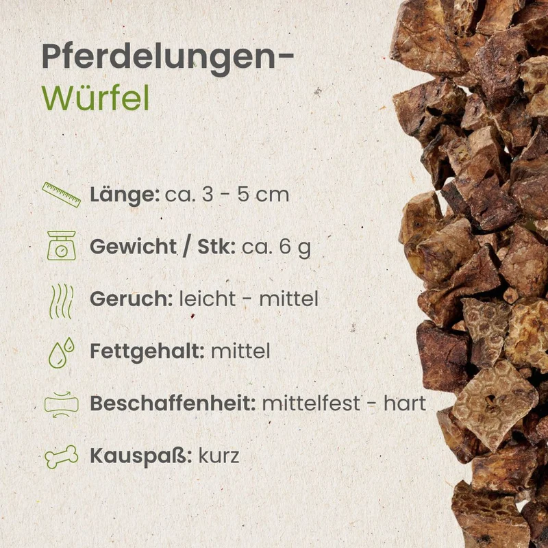 Pferde-Lungenwürfel