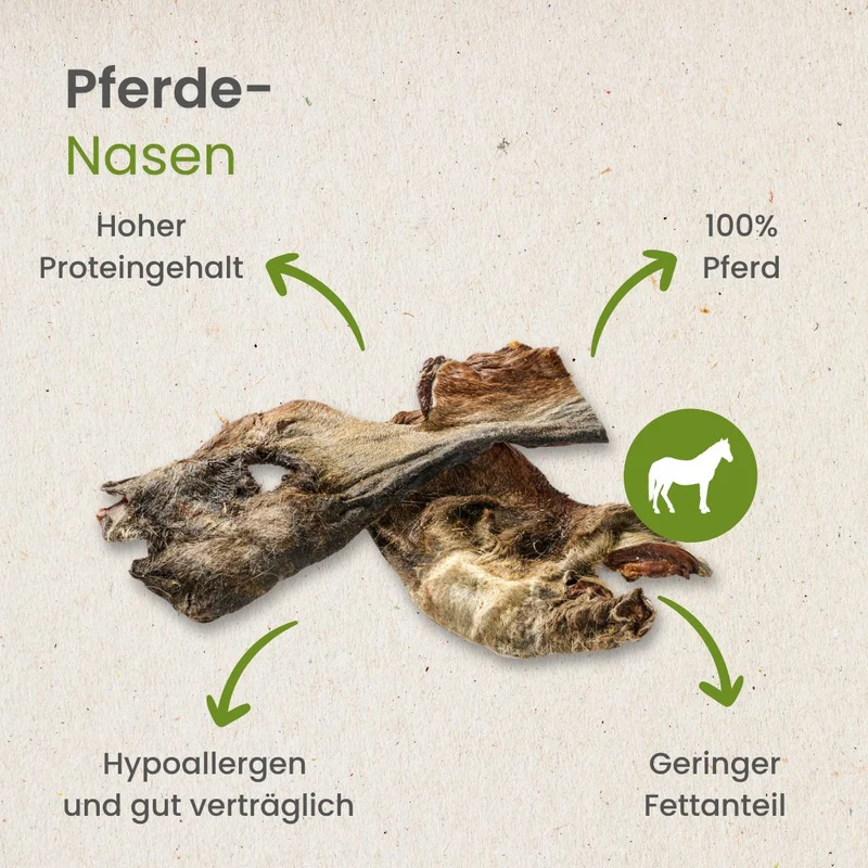 Pferde-Nasen