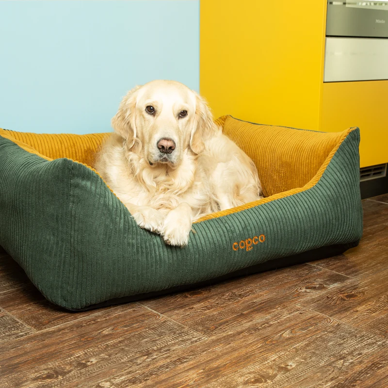 Orthopädisches Hundebett Kyra – Cord, waschbar & kuschelig für kleine & große Hunde