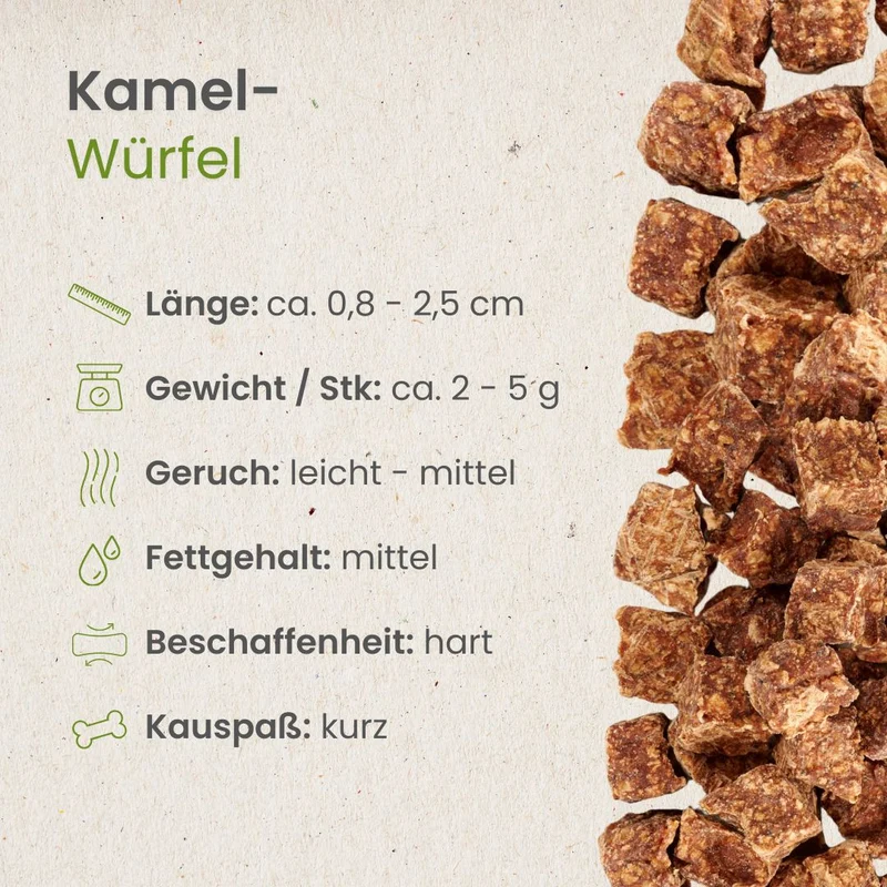 Kamel-Würfel