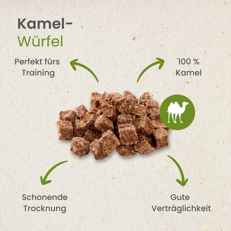Kamel-Würfel