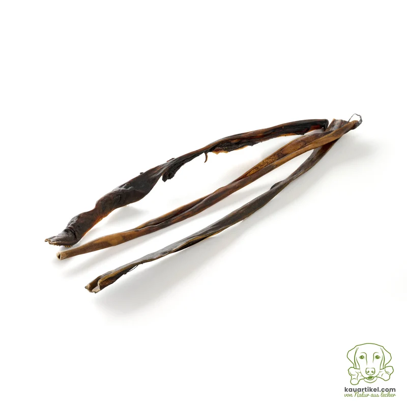 Reh-Haut 50-70cm, gerollt