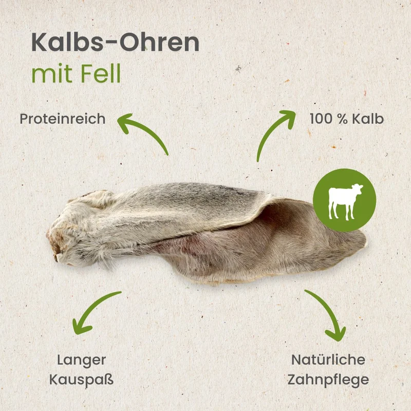Kalbs-Ohren mit Fell