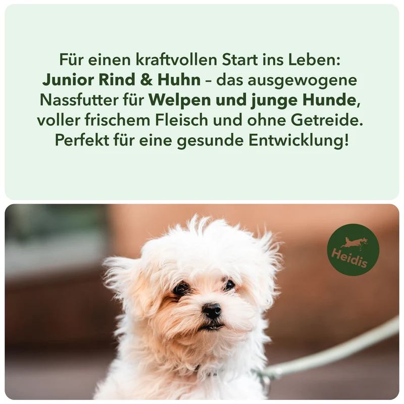 Junior Rind & Huhn - Nassfutter