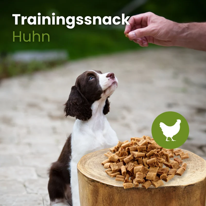 Hühner-Sticks-Trainingssnack