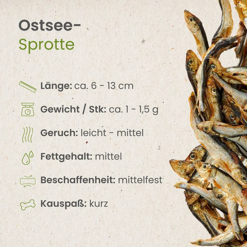 Ostsee-Sprotte